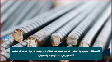 السكك الحديدية تنهي خدمة مشرف قطار ورئيس وردية خدمات عقب تقصير في المنوفية وأسوان